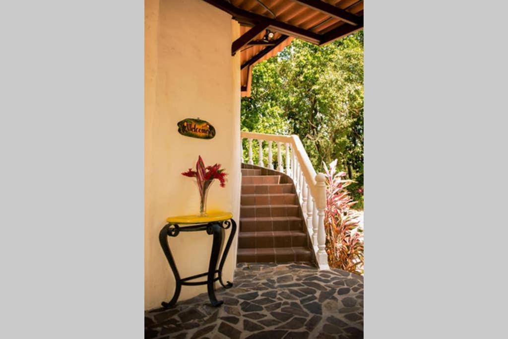 Tower Studio In The Treetops In Altos Del Maria Panama El Picacho Exterior photo
