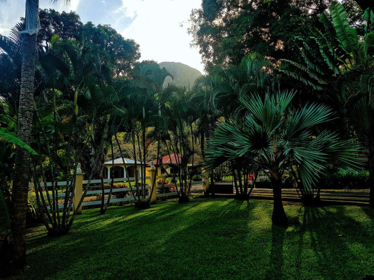 Tower Studio In The Treetops In Altos Del Maria Panama El Picacho Exterior photo